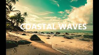 Relaxing sound of Nature. Relieve stress with Sea waves, wind and rain. Background music for work #1