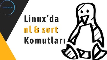19-) nl & sort komutları