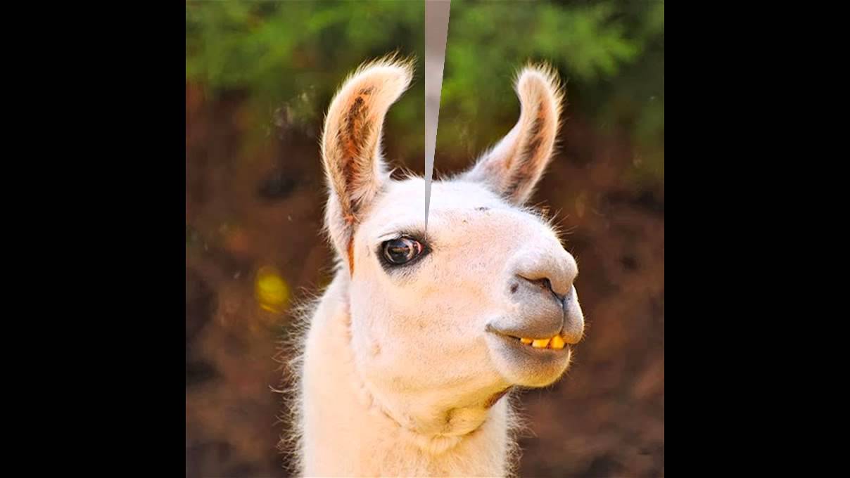 Lama 3d. Lama 3. Лама 3d. Лама 3д ручкой. Lama 3.