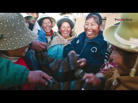 Cámara de Comercio Peruano Nórdica