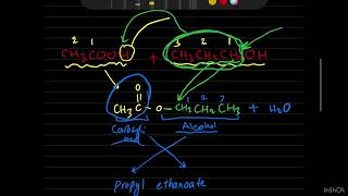 9701: Esterification and hydrolysis of esters @Professional_chemist