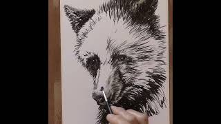 Super speedy bear portrait