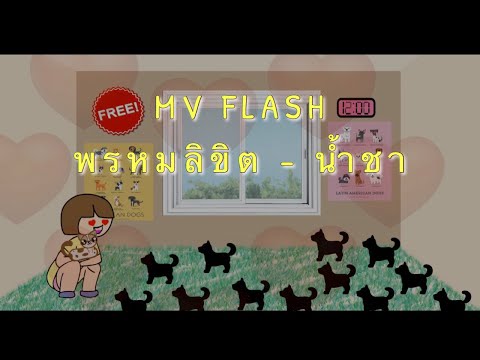 MV FLASH | พรหมลิขิต - น้ำชา