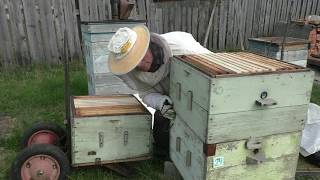 Постановка второго корпуса  Кемеровская система пчеловодства