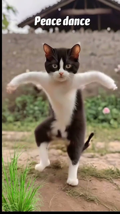 Dance Cartoon #funny #fb #youtube #cartoon #facebook#shorts #trending