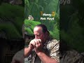 Glenn from Tokyo -Harmonica Em. Money Blues Jam Pink Floyd Style. NowYouShredBacking. #harp #blues