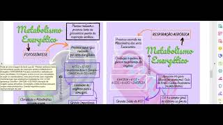 Aula 16-  Biologia - 1º series A e B- Prof.  Lucélia (16/06/21)