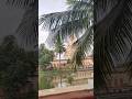 #dakshineshwar #kaali #kaalimaa #kolkata #westbengal #india #hindu #trending #durgastuti #shorts