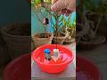 Amazing DC Water Pump вќ пёЏ Diy Shorts Ytshorts Amazing DC Water Pump вќ пёЏ Diy Shorts Ytshorts