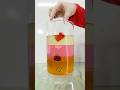 Liquid Density Experiment with Oil, Water & Honey π§ͺ