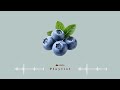 𝐏𝐥𝐚𝐲𝐥𝐢𝐬𝐭 Blueberry | lofi study music • cute bgm to relax/study | nimbo BGM