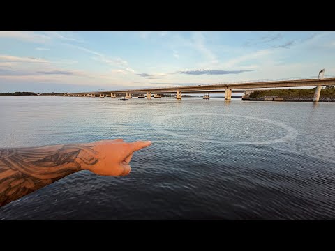 Mysterious rings in the water are FULL of fish!