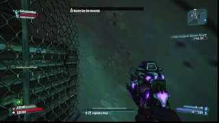 Borderlands 2 | Some random trash
