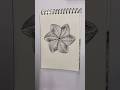 Day 15 - Doodle Art Tutorial Drawing #doodle #zenpatterns #doodlelove #trending #viral #shortvideo..