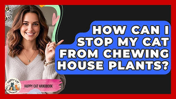 How Can I Stop My Cat From Chewing House Plants? - Happy Cat Handbook