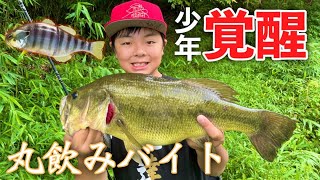 釣りキッズが使うチビタレルが巨バスの餌になってます【バス釣り】