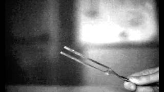 Tuning Fork - A - 426 HZ @ 3000 FPS  - (BW).wmv