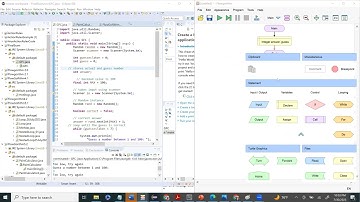 FlowGoRithm_FinalExam_GuessANumber_Video