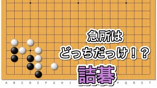 【囲碁】詰碁講座～碁経衆妙編～実戦にできやすい形編～NO784 screenshot 2