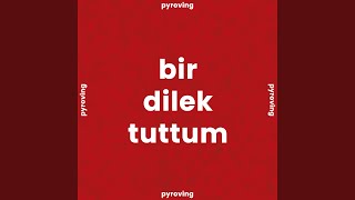 Bi̇r Di̇lek Tuttum Resimi