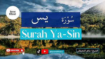 سورة يس ماهر المعيقلي - Surah Yasin Maher Al-Muaiqly (4K)