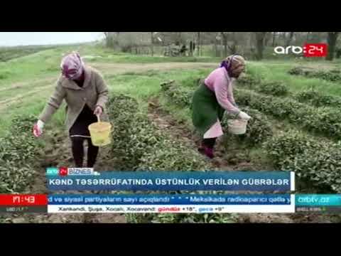 Video: Peyin və gübrələrin kənd təsərrüfatında rolu nədir?