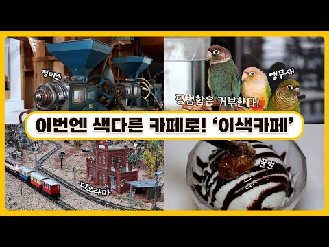 이번엔 색다른 카페로! ‘이색카페’  | 생생투데이 사람과 세상, (KBS 2023.04.21. 금 방송)