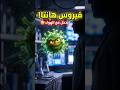 فيروس هانتا العدوى التي تبدأ من الهواء وتهاجم الرئة