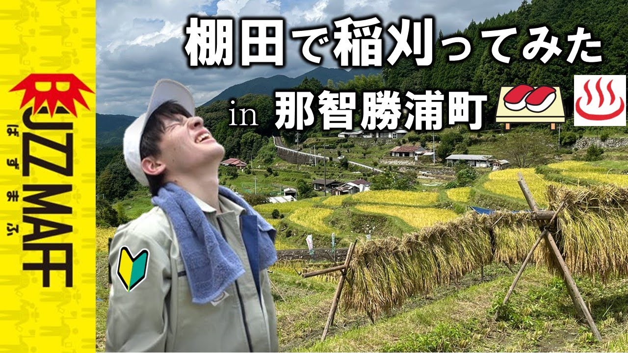 農水省職員、生まれて初めて稲刈ってみたin棚田