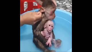 Очень мило ... купание матери и дитя !!! ❤💋💞😘😋😉🙏👍😀