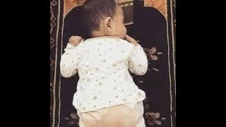 Nilayillathoru Kanneer Kadalil | എല്ലാമറിയും നാഥാ | Cover Song | MUSICAL MEDIA