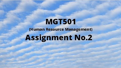 MGT501 (Human Resource Management) Assignment No.2 Idea Solution