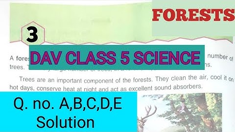 DAV Class 5 Science Chapter 3 Forests Question Answer ||ADARSH 999