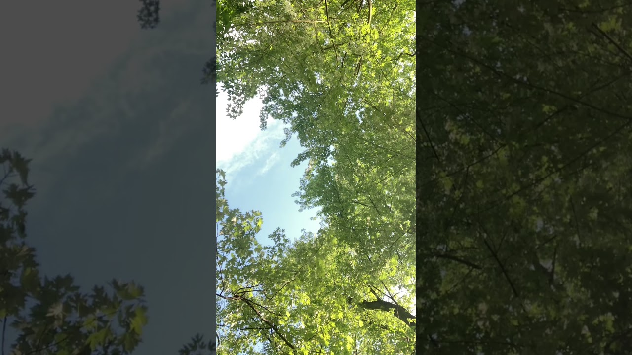 same practicing panflutes...