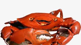 Smile Crab