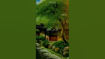 🌿 سورة الكهف 🌿 القارئ أحمد نعينع 🌿