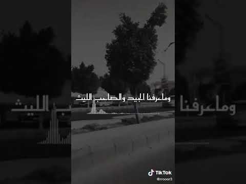 زامل لولا المواقف ماعرفنا الرجاجيل بصوت بنت اليمن شاهد واستمتع