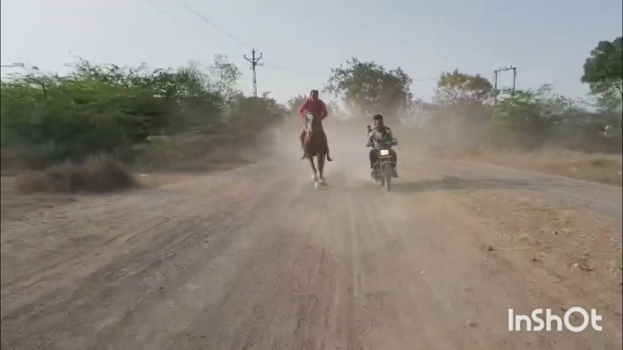 21 ફેબ્રુઆરી, 2026