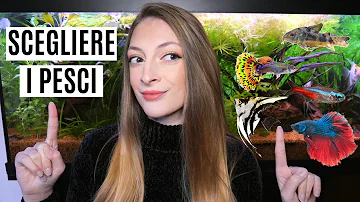 Quali sono i pesci d'acquario?