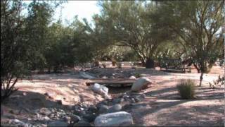 Tucson Residential Landscape Tour by Our Landscaper News