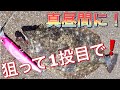 昼マズメに狙って1投でヒラメ～❗BWジャンゴ～で❗海が川⁉️新作ルアーでヒラメを狙う❗