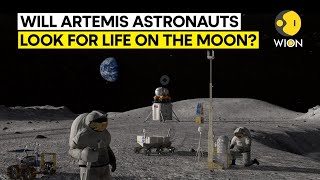 NASA scientist admits that the Moon 'might already have life on it' | WION Originals