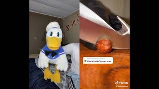 Doesnt Know Whats Going On Inside Trumps Brain.