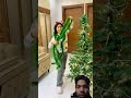 pahle humne Kya Christmas tree decorate #priyalkukreja #short #ytshorts