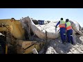 Whale carcass washed up on beach