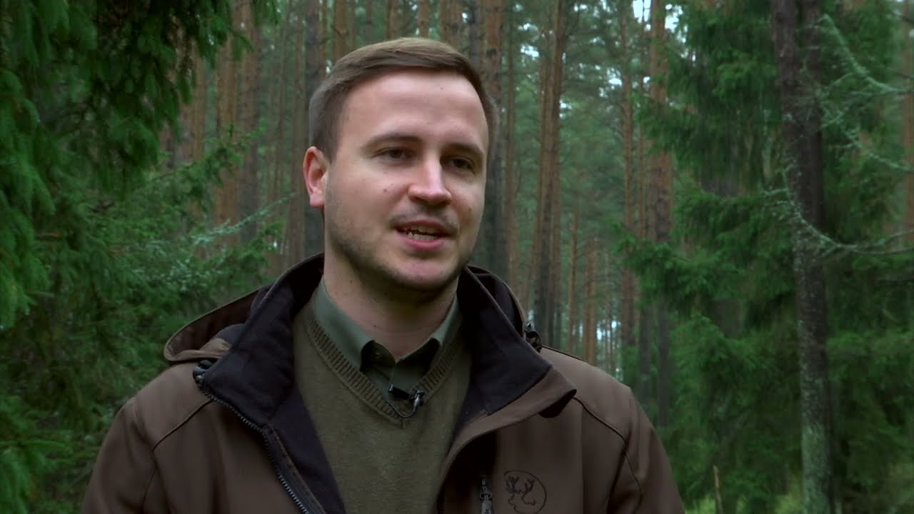 Zielono mi   listopad 2023