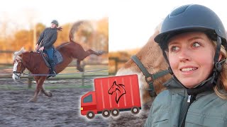 Stalgenoot gaat verhuizen en paard BOKT Iris er AF!