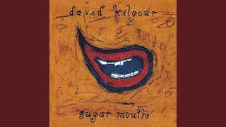 Video thumbnail of "David Kilgour - Listen to the Rain"