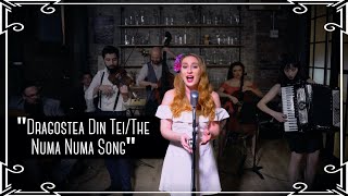 “Dragostea Din Tei/The Numa Numa Song” (O-Zone) Romanian Folk Cover by Robyn Adele Anderson