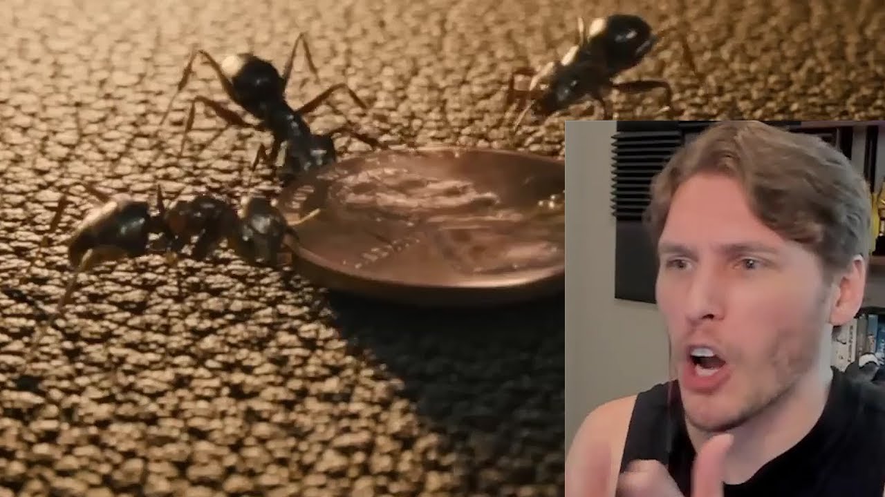 Jerma Being Overconfident And Then Immediately Failing - Volume 5